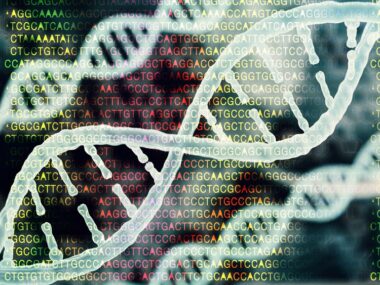 Mrp4 gene and obesity
