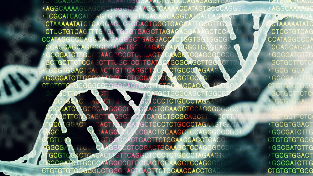 Mrp4 gene and obesity