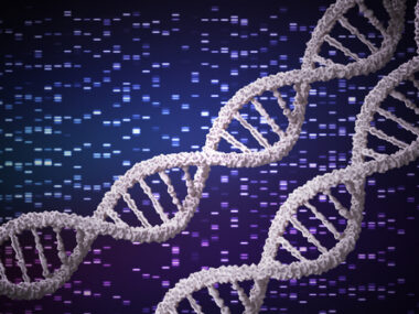 cancer risk, genetic obesity