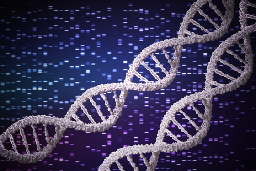 cancer risk, genetic obesity