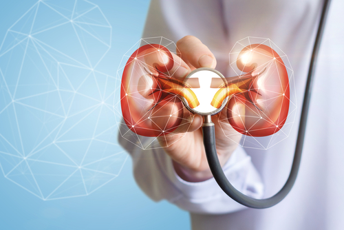Alström syndrome kidney disease