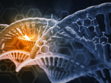 microRNA and obesity