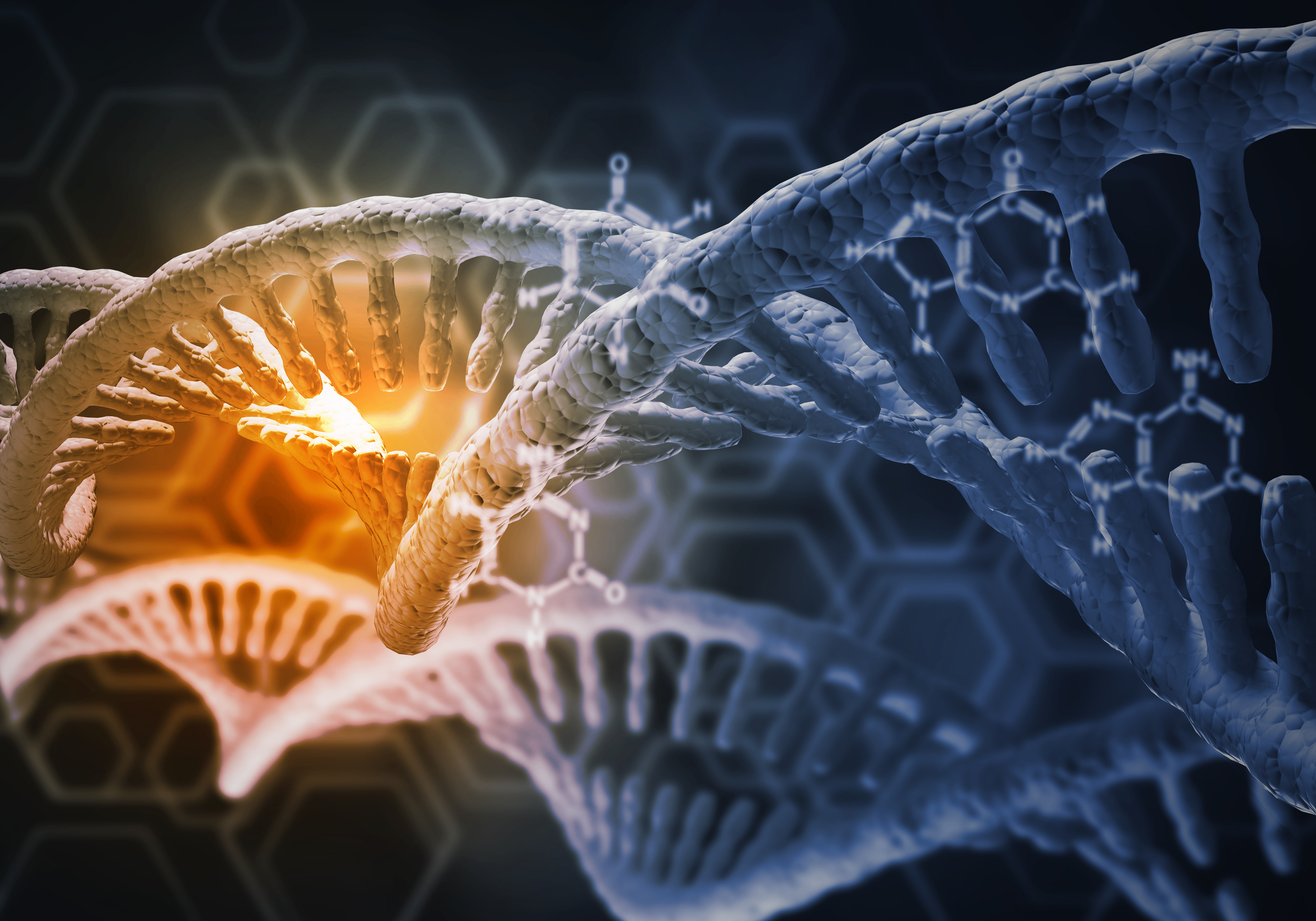 microRNA and obesity