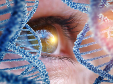 An image of an eye.