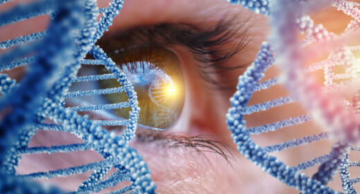 An image of an eye.