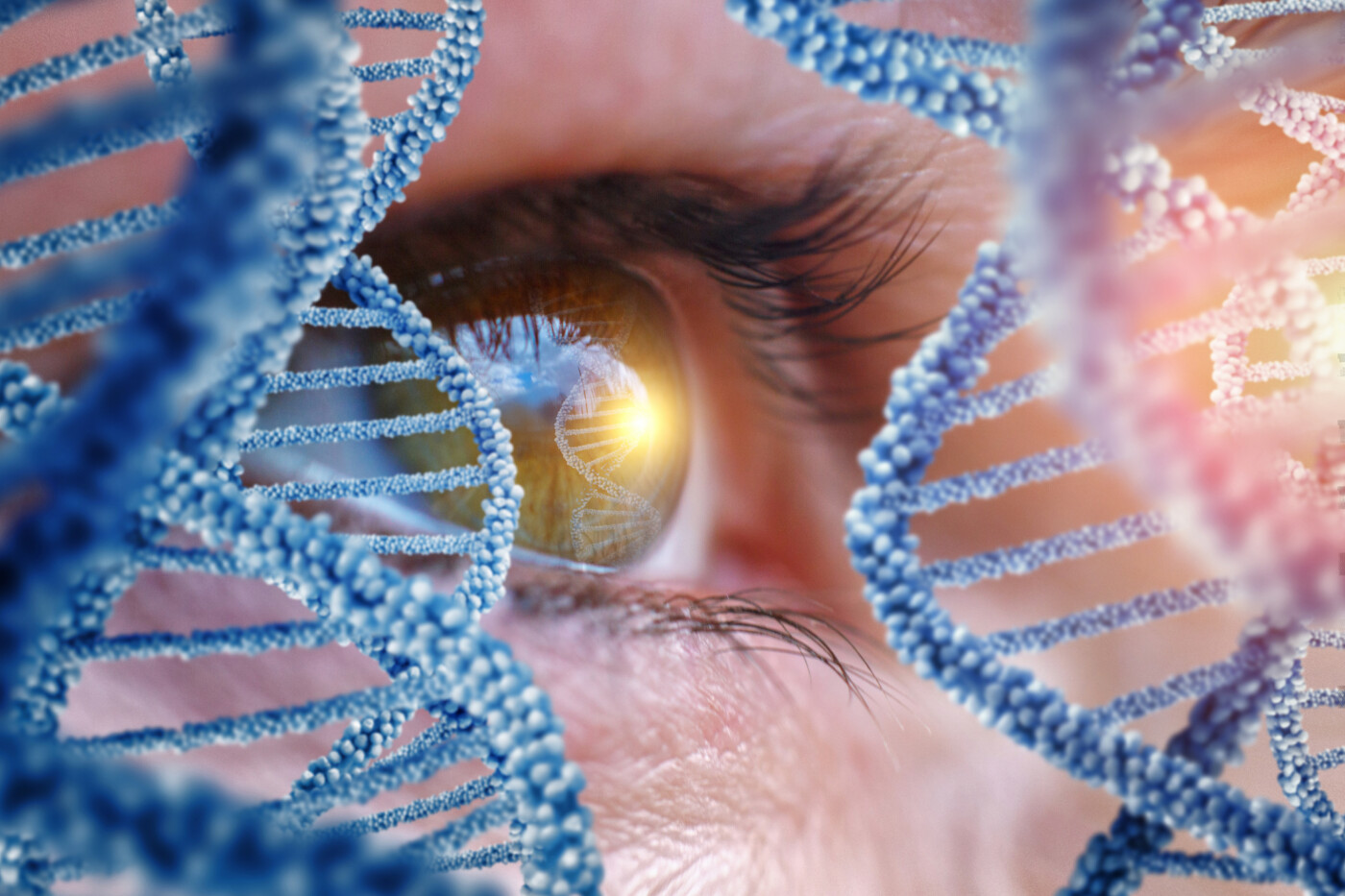 An image of an eye.