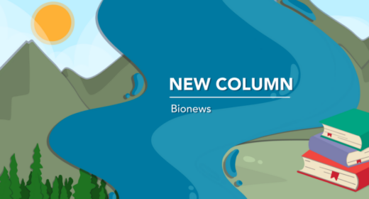 The New Column banner image features mountains and a stack of books separated by a river.
