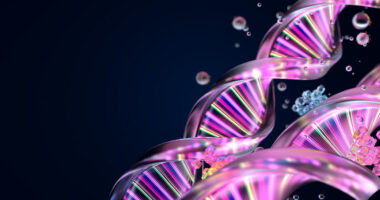 A close-up view of two DNA strands highlight their ribbon-like structure.